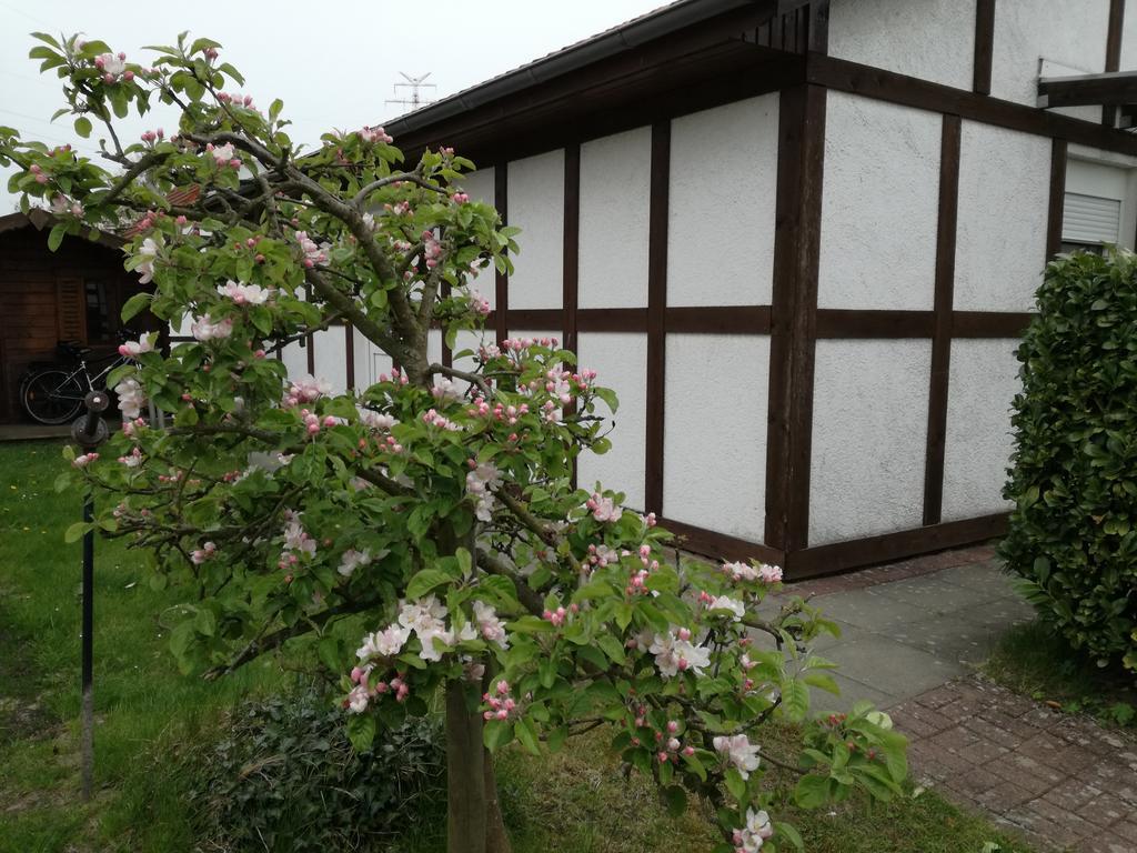 Ferienhaus Apfelbluete Twielenfleth Exterior foto